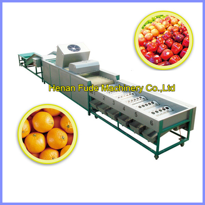 China Navel orange cleaning, wax polishing , sorting machine supplier