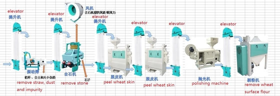 China wheat processing line, wheat peeling machine supplier