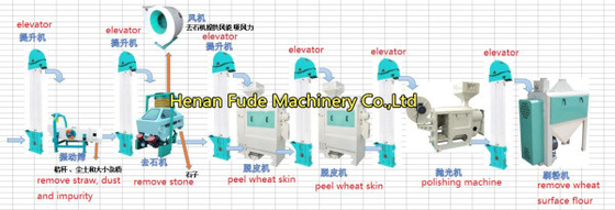 China maize processing line, maize peeling machine, corn processing line supplier