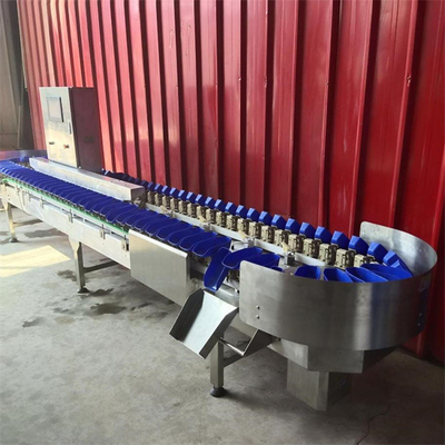 China apple grading machine, potato sorting machine, fruit weighing sorting machine supplier