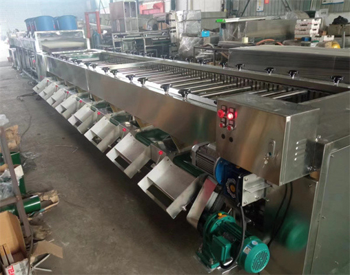 China potato washing drying grading machine, potato washing dryer sorting line supplier