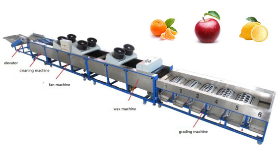China apple cleaning drying grading machine, apple sorting machine, lemon grading machine supplier