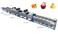 apple cleaning drying grading machine, apple sorting machine, lemon grading machine
