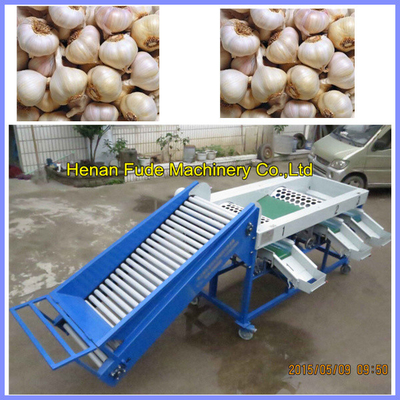 China Garlic grading machine , onion sorting machine supplier