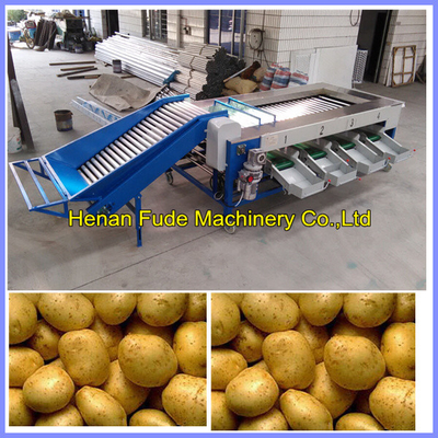 China potato grading machine , potato sorting machine supplier