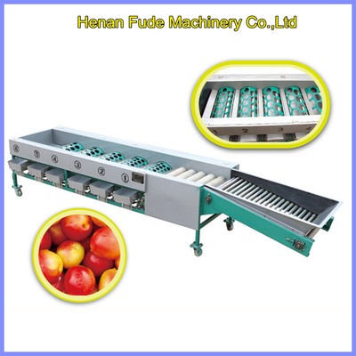 China cherry tomato cleaning and sorting machine, cleaning grading machine supplier