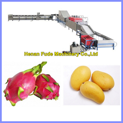 China dragon fruit cleaning and sorting machine supplier