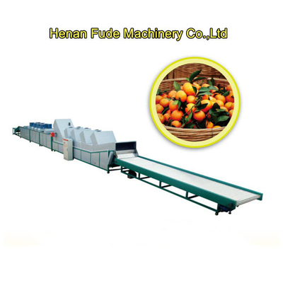 China sugar orange sorting machine, sugar orange grading machine supplier