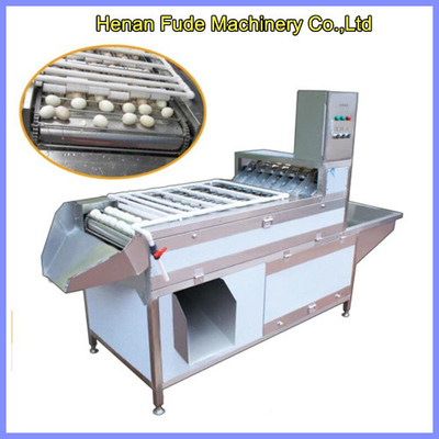 China hen egg shelling machine, chicken eggs shelling machine supplier