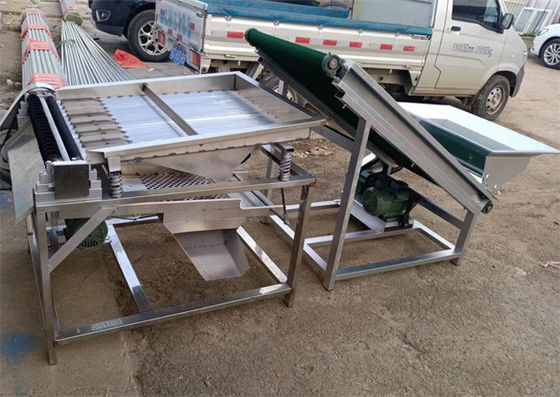 China Pea Sheller, fresh Pea Pod Removing Machine, pea peeling machine 500kg/h supplier