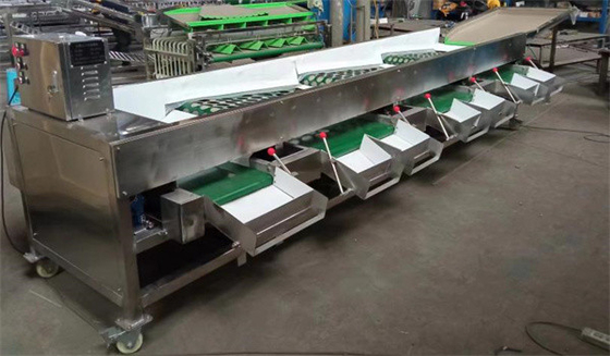 China tomato sorting machine, peach grading machine, citrus sorting machine supplier