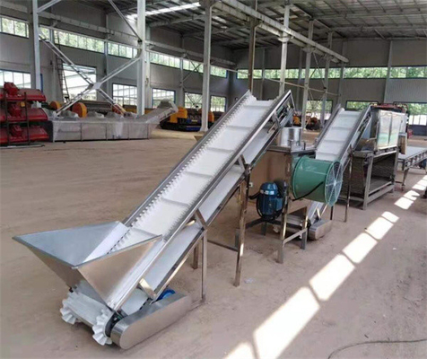 China garlic peeling machine, garlic peeling line, garlic processing machines supplier