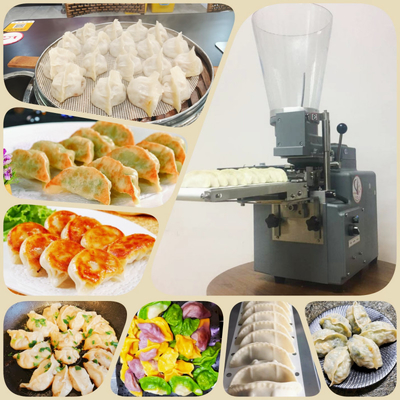 China fried dumpling machine, steam dumpling making machine, gyoza dumpling machine supplier