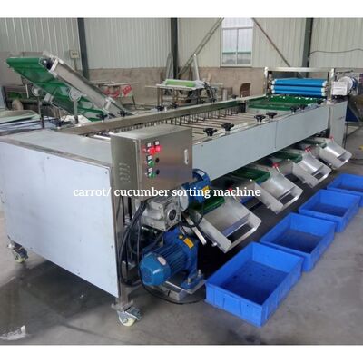 China Cucumber Sorting Machine, Cucumber Grading Machine, Cucumber Grader sorter supplier
