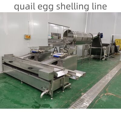 China Quail Egg Peeling Machine, Quail Egg Shelling Line, Quail Egg Peeler Machine supplier