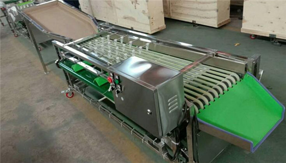 China cherry grading machine,dates sorting machine,waxberry sortor,plum sorting machine supplier