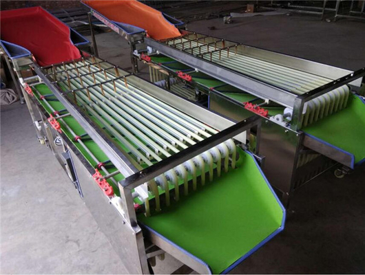 China small potato grading machine,cherry tomato sorting machine,cherry tomato cleaning and drying machine supplier