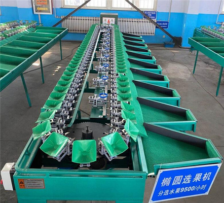 China fruit weight sorting machine,fruit weight classifier,apple sorting machine,orange sorter supplier