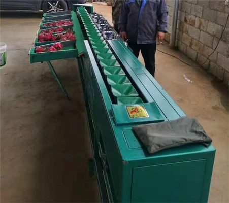 China fruit weight sorting machine,tomato grading machine,kiwi fruit classifying machine,dragon fruit sorter supplier