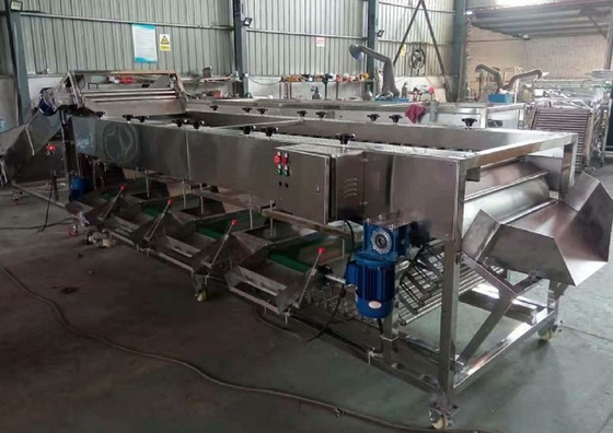 China potato grading machine, potato sorting machine, potato sorter, potato grader supplier