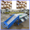 Garlic grading machine , onion sorting machine supplier