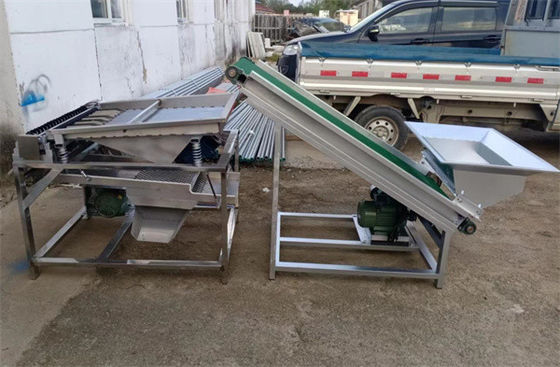 Pea Sheller, fresh Pea Pod Removing Machine, pea peeling machine 500kg/h supplier