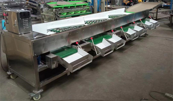 tomato sorting machine, peach grading machine, citrus sorting machine supplier