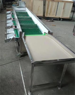 tomato sorting machine, peach grading machine, citrus sorting machine supplier