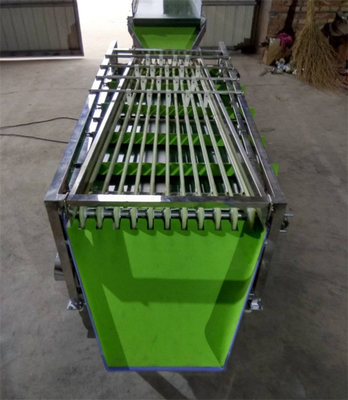 olive sorting machine, cherry tomato grading machine, dates sorting machine supplier