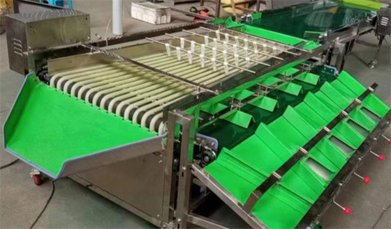 olive sorting machine, cherry tomato grading machine, dates sorting machine supplier