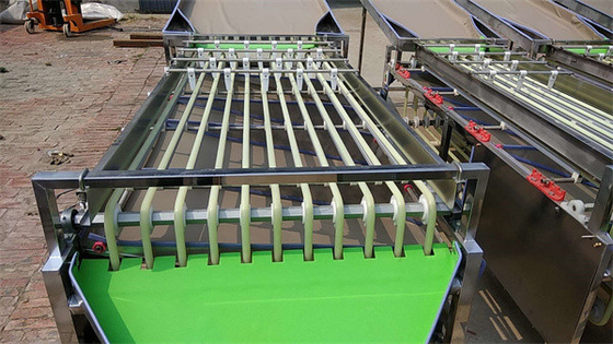 olive sorting machine, cherry tomato grading machine, dates sorting machine supplier