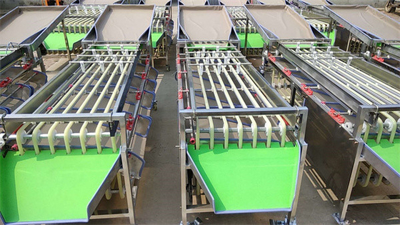 olive sorting machine, cherry tomato grading machine, dates sorting machine supplier