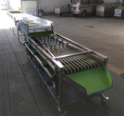 olive sorting machine, cherry tomato grading machine, dates sorting machine supplier