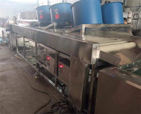 potato washing drying grading machine, potato washing dryer sorting line supplier