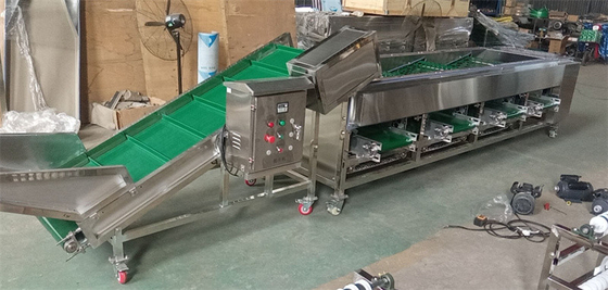 onion sorting machine, onion grading machine, onion sorter grader supplier
