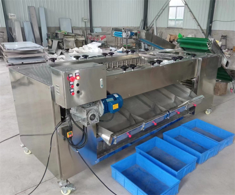 cheapest potato grading machine, potato sorting machine, potato sorter grader supplier
