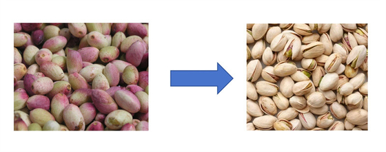 fresh pistachio peeling machine, fresh pistachio shelling machine, pistachio sheller supplier