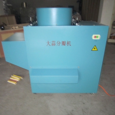 garlic bulb into cloves machine, garlic bulb splitting machine, garlic separating machine FDGS-1000 supplier