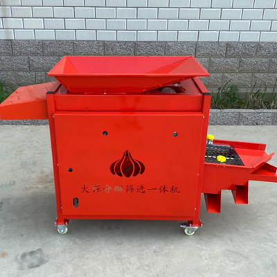 garlic bulb  separating and grading  machine  ，garlic bulb into cloves and grading  integrated maching  RYFF-800 supplier