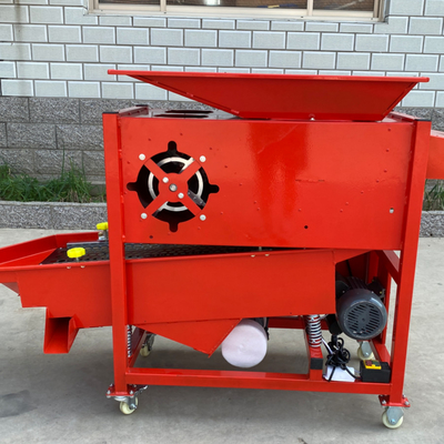garlic bulb  separating and grading  machine  ，garlic bulb into cloves and grading  integrated maching  RYFF-800 supplier