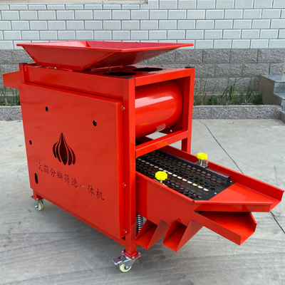 garlic bulb  separating and grading  machine  ，garlic bulb into cloves and grading  integrated maching  RYFF-800 supplier