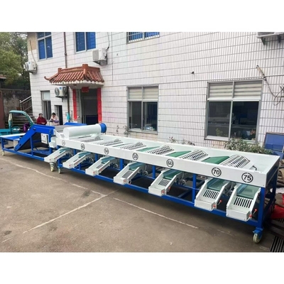 garlic sorting machine, garlic grading machine, garlic bulb sorter machine supplier
