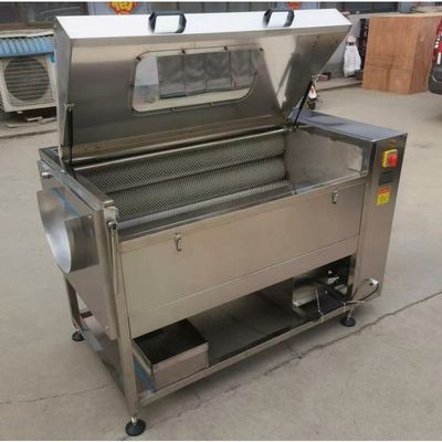 Potato washing peeling machine,ginger peeling machine, carrot peeling machine supplier