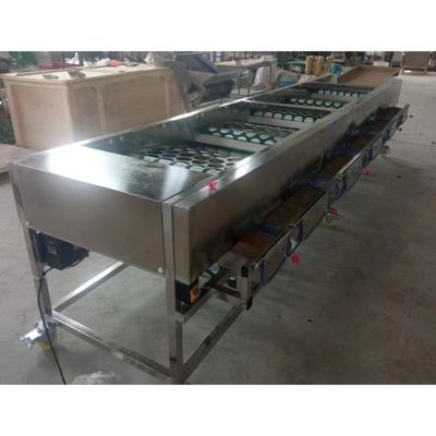 Onion Sorting Machine, Onion Grading Machine, Onion Grader Machine, Sorter machine supplier