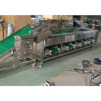 Onion Sorting Machine, Onion Grading Machine, Onion Grader Machine, Sorter machine supplier