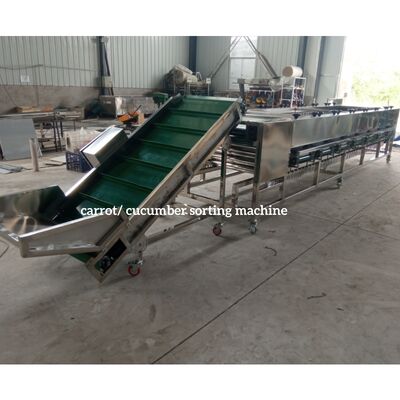 Carrot Sorting Machine, Carrot Grading Machine, Carrot Grader Sorter supplier