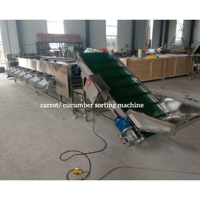 Carrot Sorting Machine, Carrot Grading Machine, Carrot Grader Sorter supplier