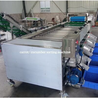 Carrot Sorting Machine, Carrot Grading Machine, Carrot Grader Sorter supplier