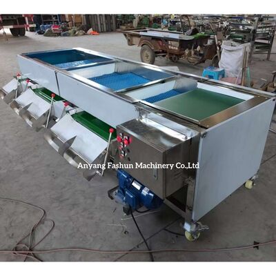 Blueberry sorting machine, Blueberry grading machine, blueberry classification machine supplier