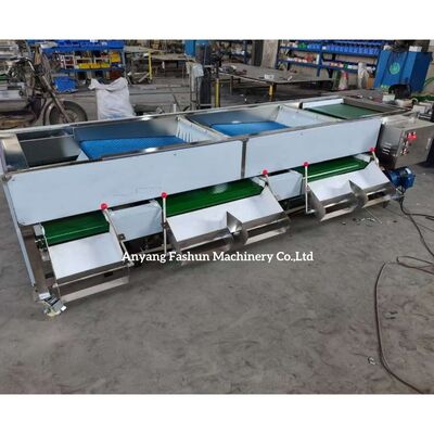Blueberry sorting machine, Blueberry grading machine, blueberry classification machine supplier